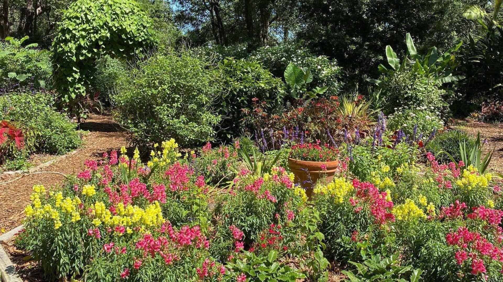 flowers and trees in a botanical garden